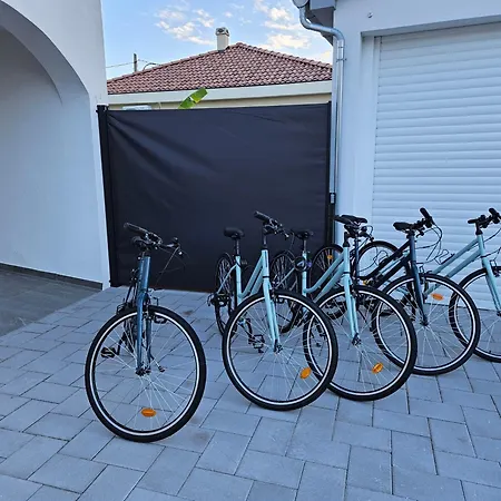 Bernie With A Pool * 扎达尔