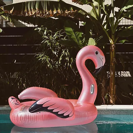 Bernie With A Pool * 扎达尔